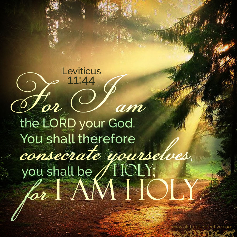 Be holy, for I am holy. Lev 11:44